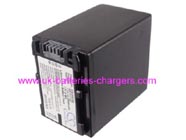 SONY FDR-AX100E camcorder battery